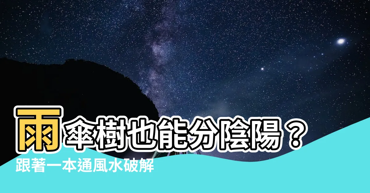 【雨傘樹風水】雨傘樹也能分陰陽？跟著一本通風水破解小葉欖仁的吉凶秘密