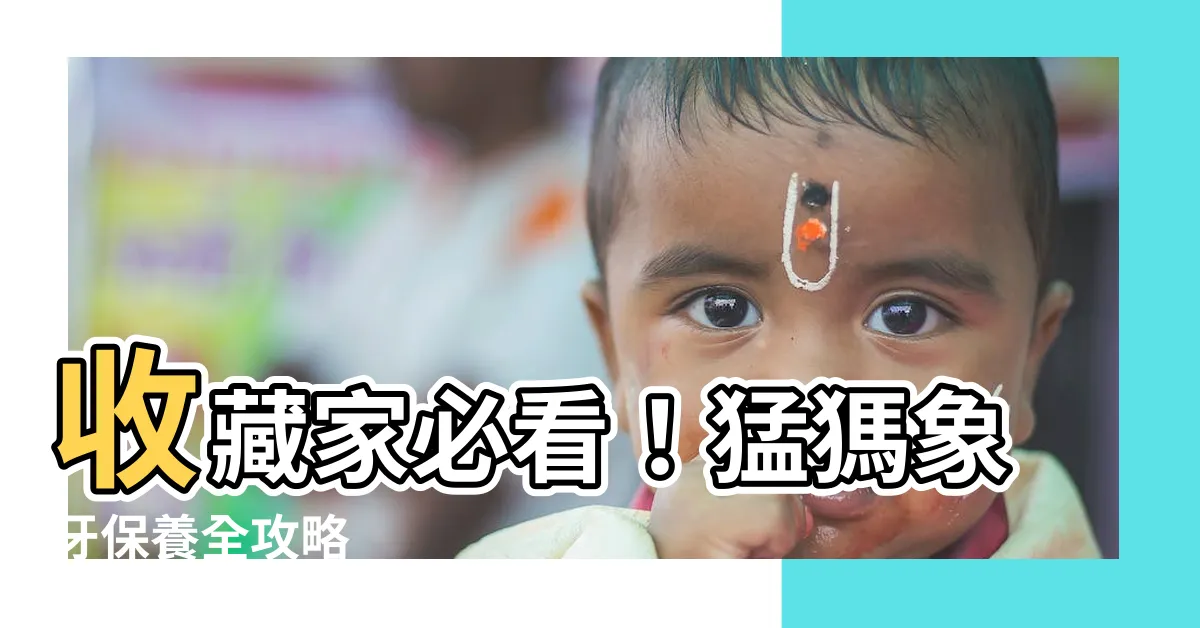 【猛獁象牙保養】收藏家必看！猛獁象牙保養全攻略