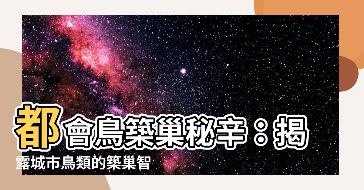 【鳥築巢】都會鳥築巢秘辛：揭露城市鳥類的築巢智慧
