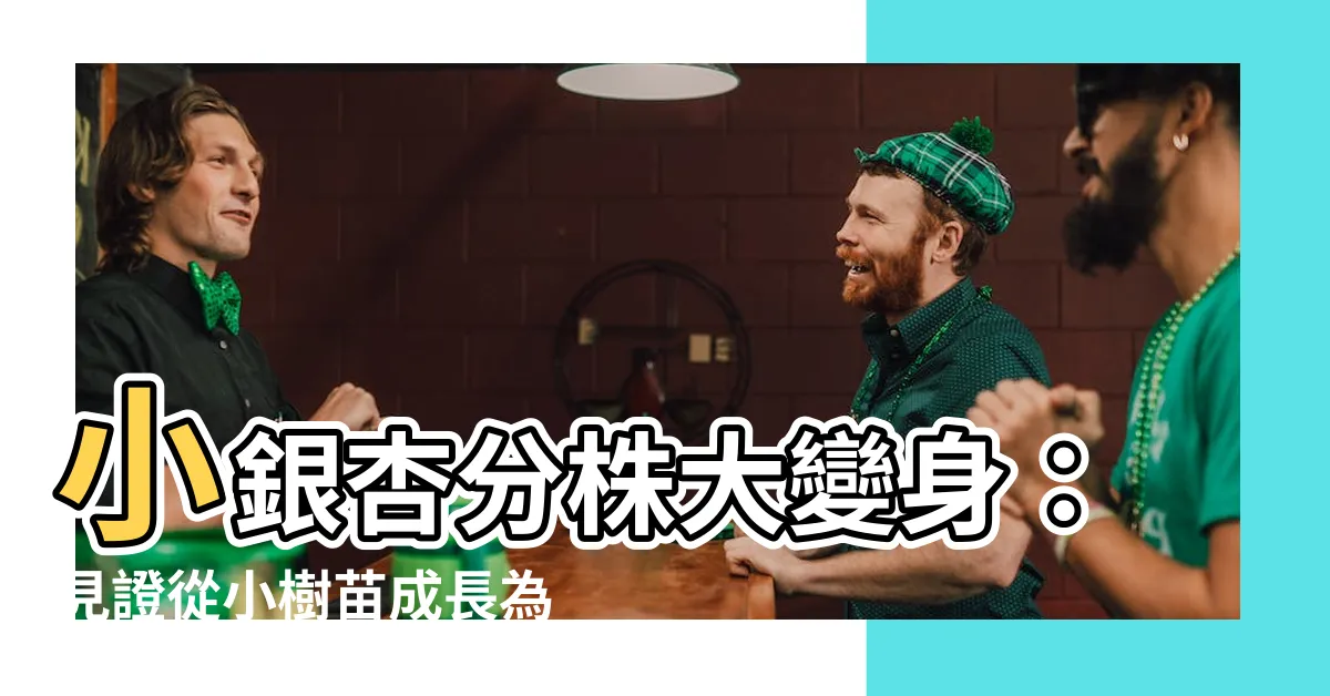 【小銀杏分株】小銀杏分株大變身：見證從小樹苗成長為參天大樹！