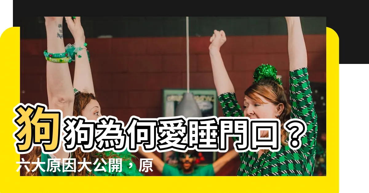 【狗狗睡門口】狗狗為何愛睡門口？六大原因大公開，原來有這些用意！