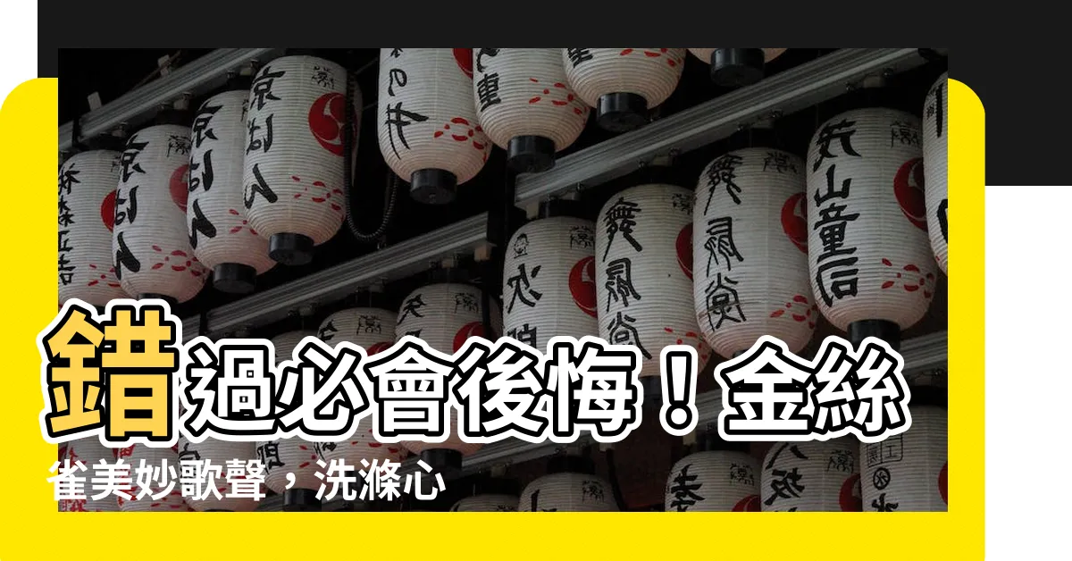【金絲雀唱歌】錯過必會後悔！金絲雀美妙歌聲，洗滌心靈的清澈樂音