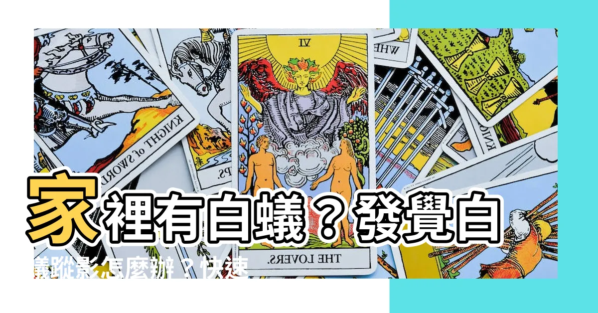 【家裡有白蟻怎麼處理】家裡有白蟻？發覺白蟻蹤影怎麼辦？快速消滅白蟻的有效方法！