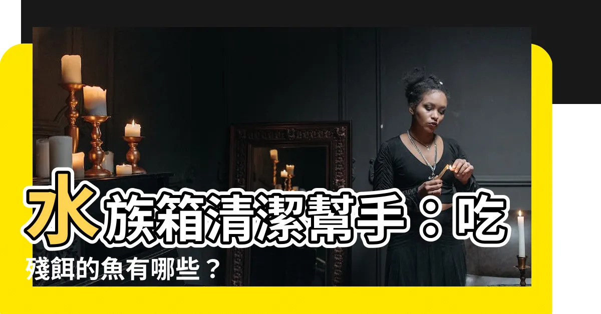【吃殘餌的魚】水族箱清潔幫手：吃殘餌的魚有哪些？