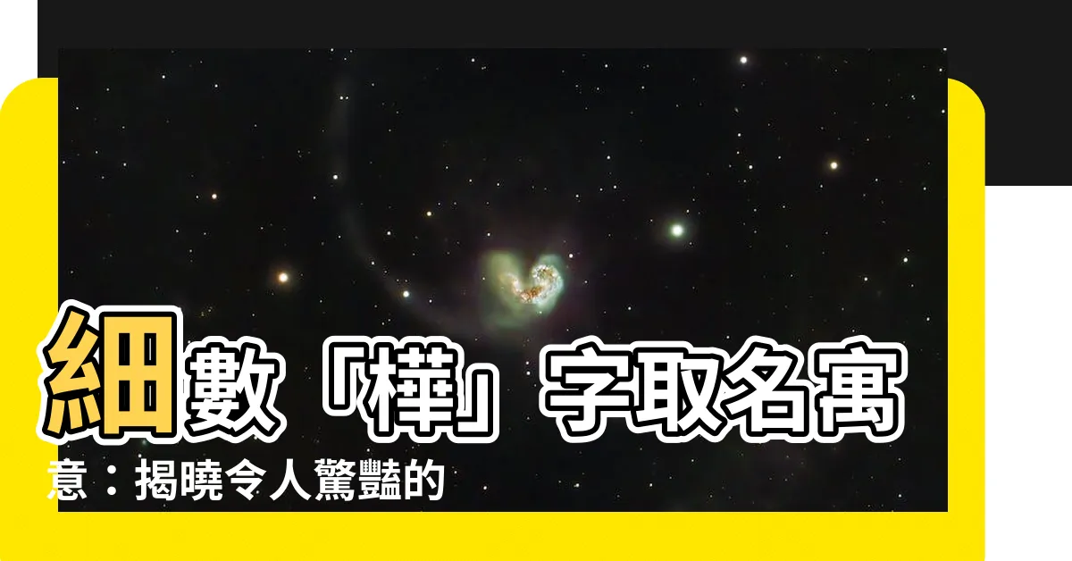【樺名字意思】細數「樺」字取名寓意：揭曉令人驚豔的樺樹意涵
