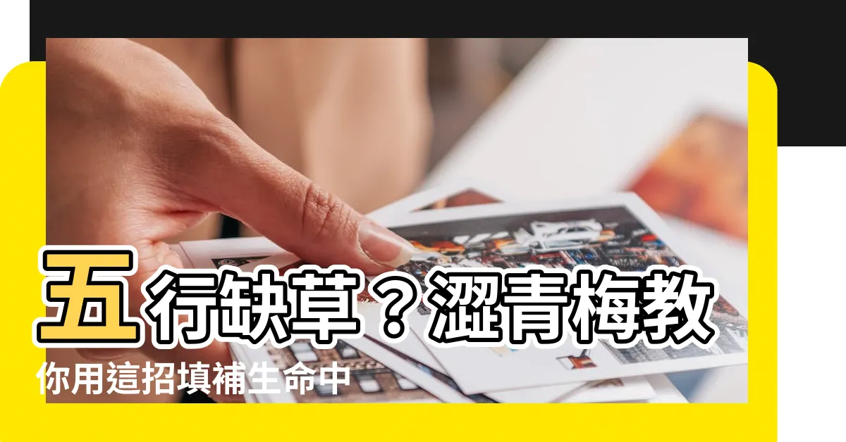 【五行缺草】五行缺草？澀青梅教你用這招填補生命中的缺口！