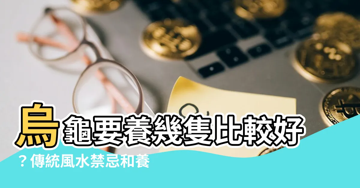 【烏龜要養幾隻比較好】烏龜要養幾隻比較好？傳統風水禁忌和養龜指南