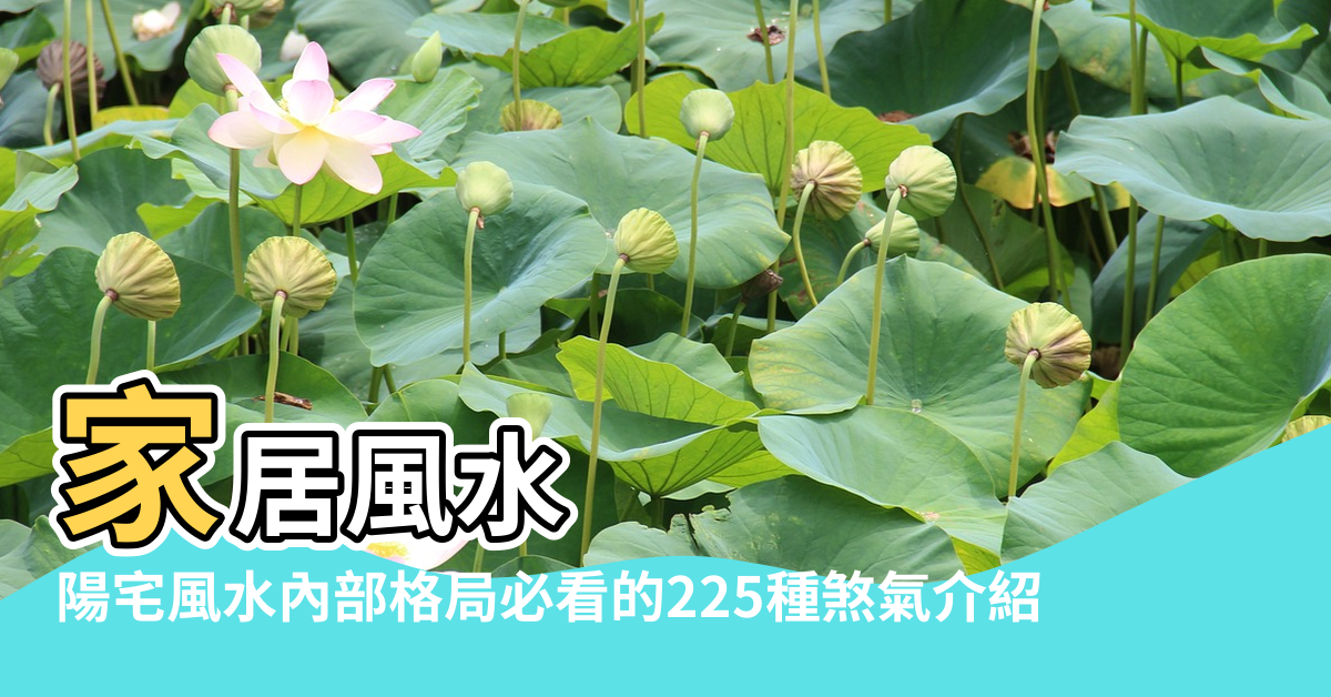 【陽宅什麼風水好】家居風水 |陽宅風水內部格局必看的225種煞氣介紹 |DIY化解方法 |