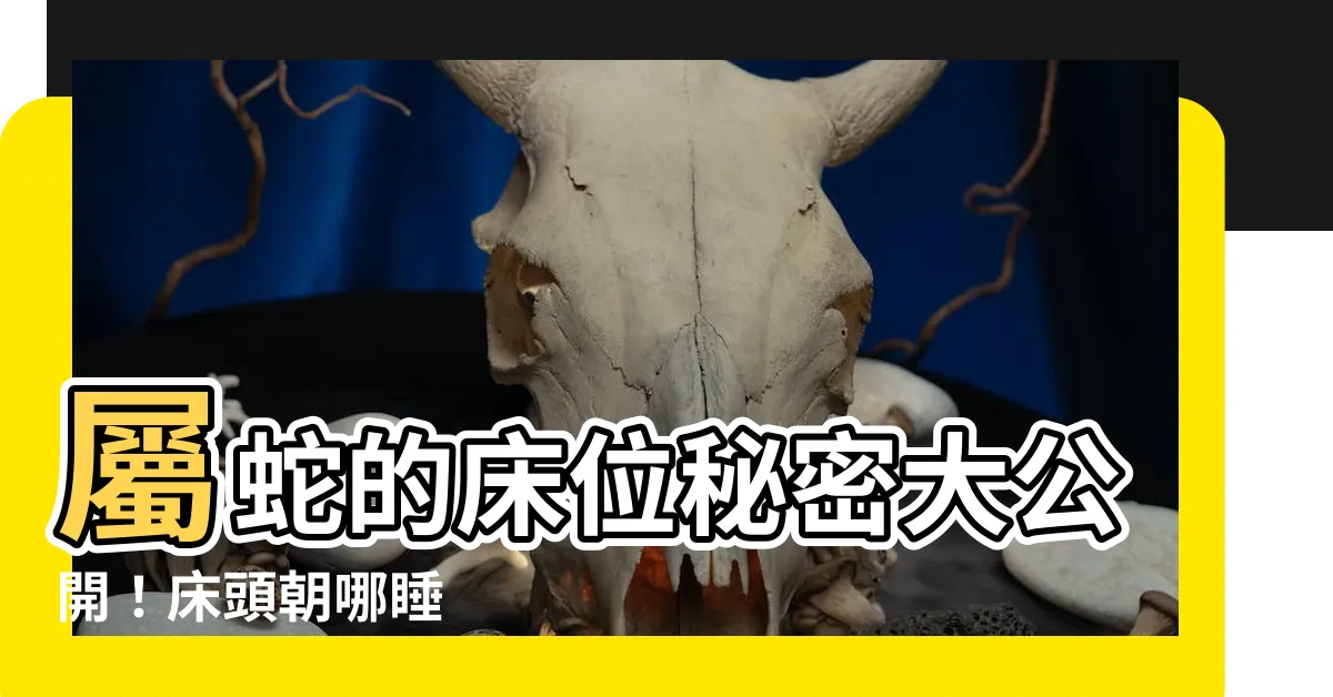 【屬蛇的牀位】屬蛇的牀位秘密大公開！牀頭朝哪睡