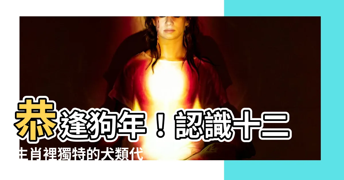 【狗 年】恭逢狗年！認識十二生肖裡獨特的犬類代表