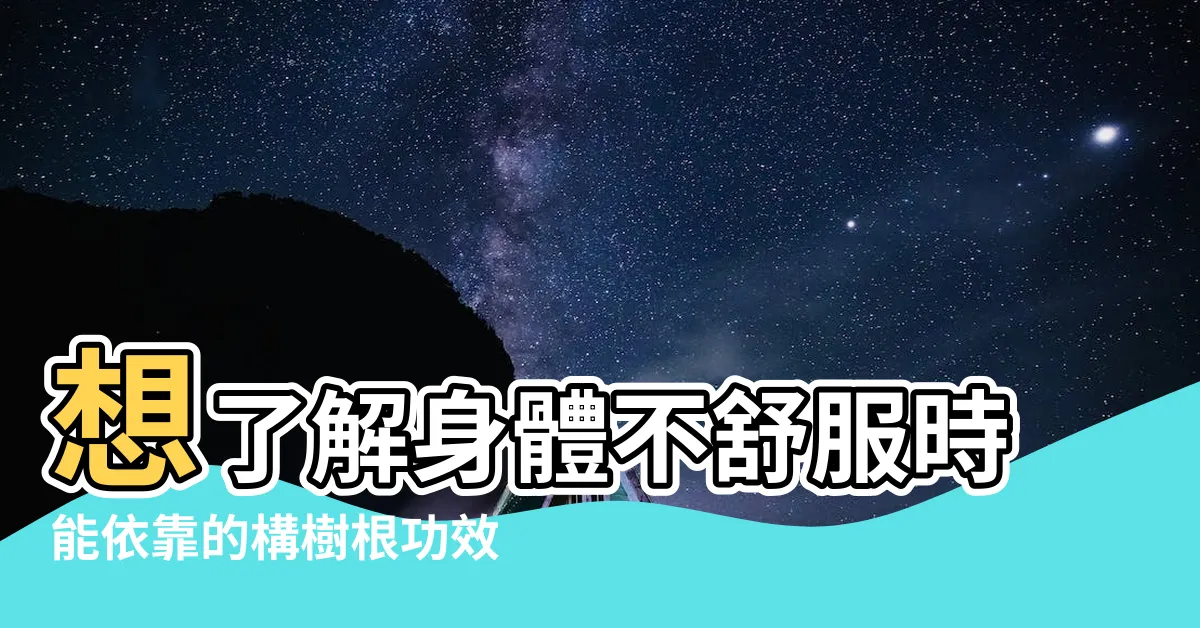 【構樹根功效】想瞭解身體不舒服時能依靠的構樹根功效嗎？快看這篇！