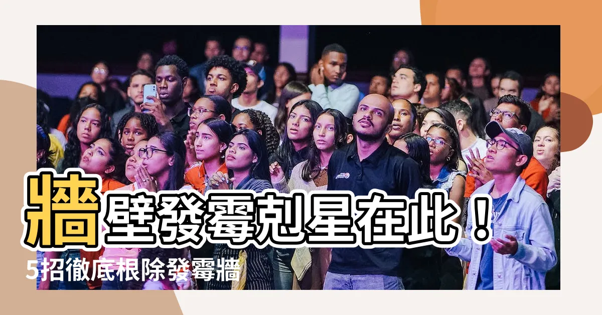 【發黴牆壁】牆壁發黴剋星在此！5招徹底根除發黴牆壁