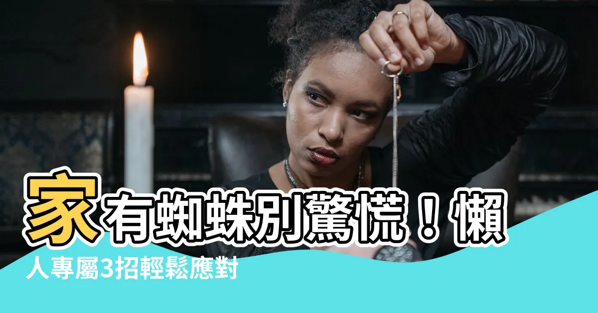 【家有蜘蛛】家有蜘蛛別驚慌！懶人專屬3招輕鬆應對！