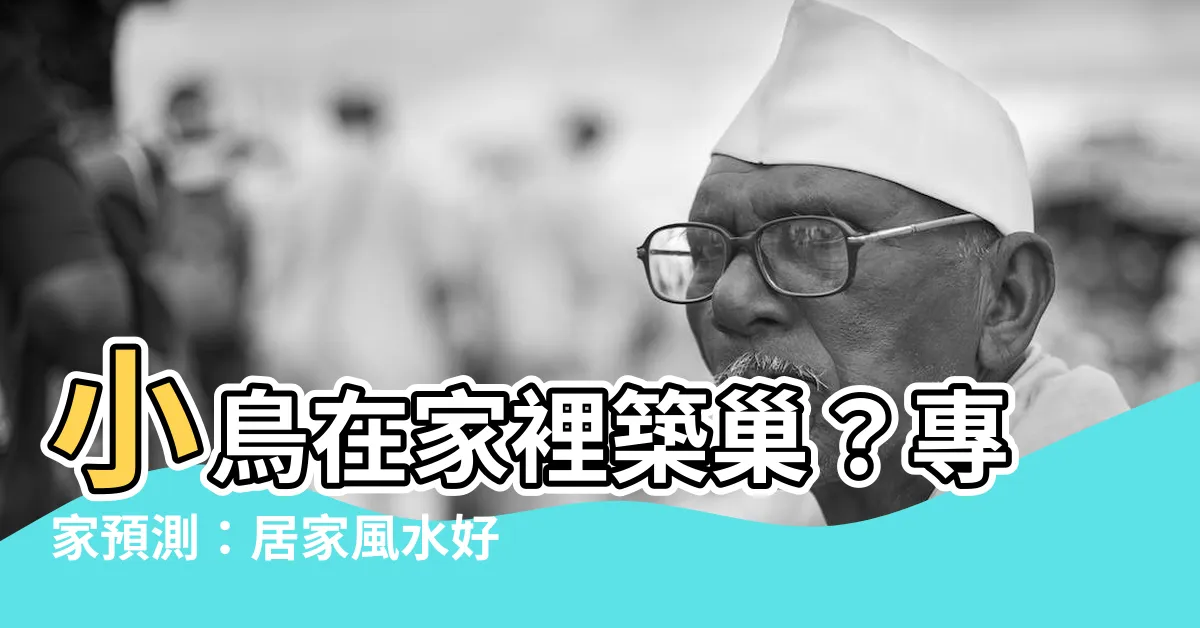 【小鳥在家裡築巢】小鳥在家裡築巢？專家預測：居家風水好極了！