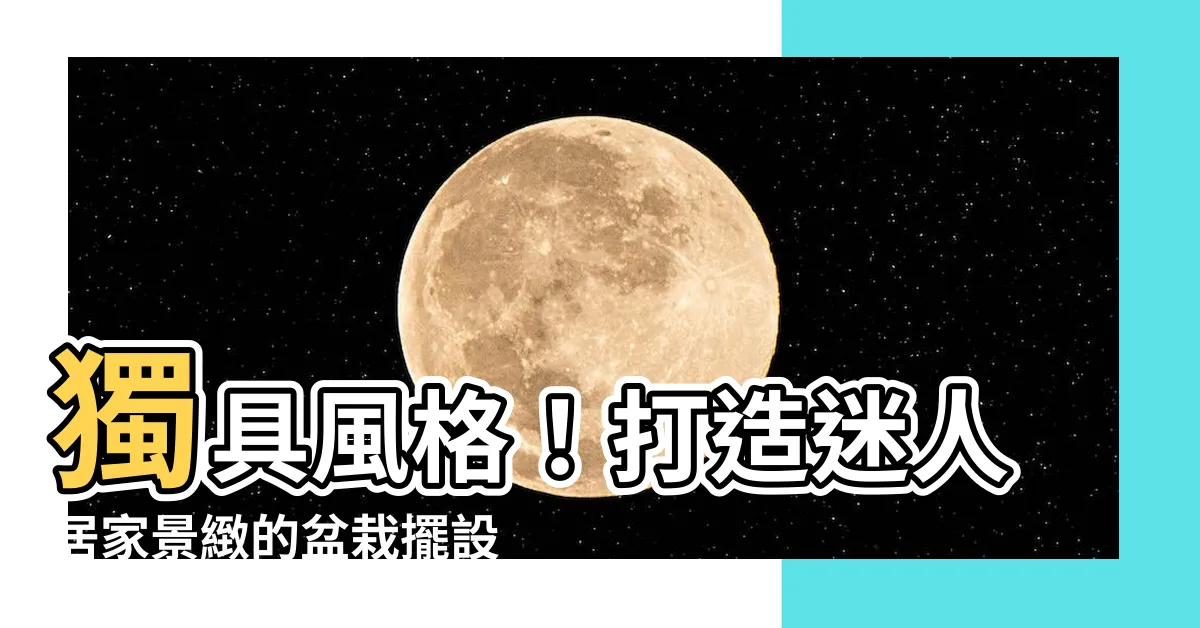 【盆栽擺設】獨具風格！打造迷人居家景緻的盆栽擺設攻略