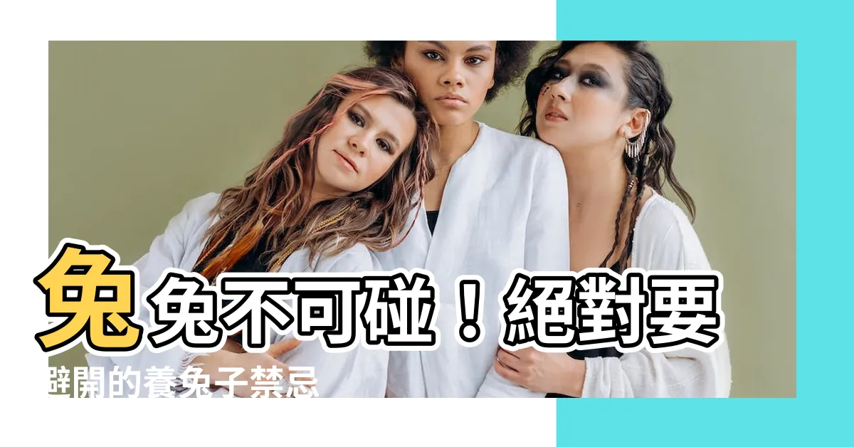 【養兔子禁忌】兔兔不可碰！絕對要避開的養兔子禁忌