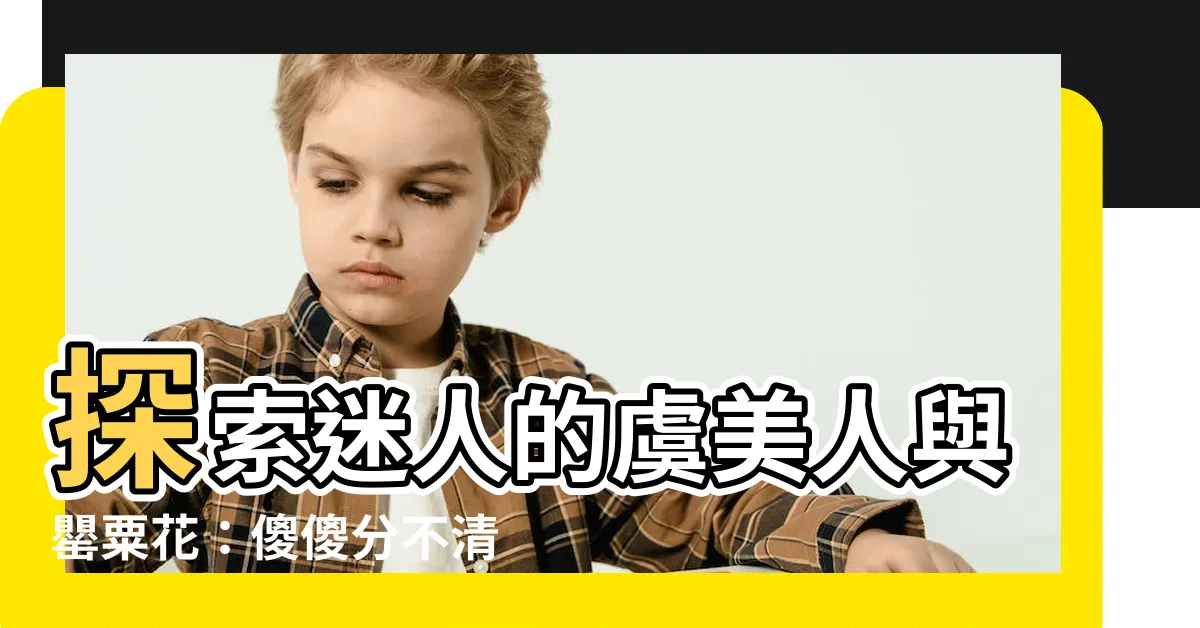【虞美人罌粟花】探索迷人的虞美人與罌粟花：傻傻分不清楚？一文解答！