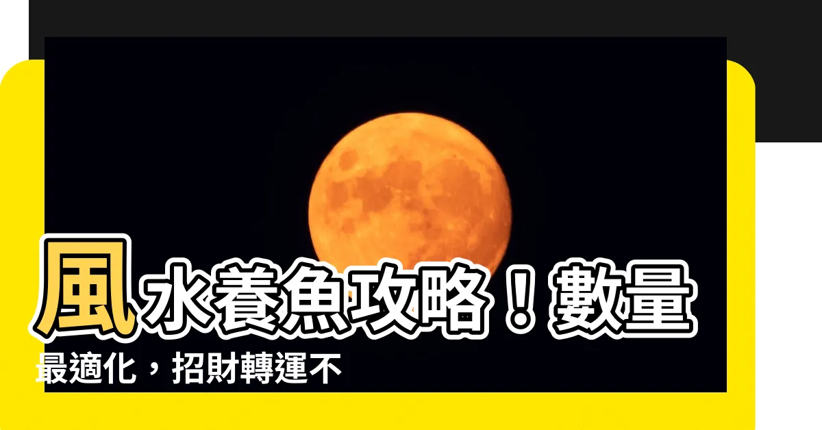 【風水魚的數量】風水養魚攻略！數量最適化，招財轉運不求人