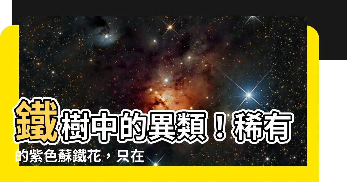 【紫色蘇鐵花】鐵樹中的異類！稀有的紫色蘇鐵花，只在日月潭出現