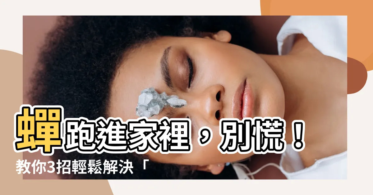 【蟬跑進家裡】蟬跑進家裡，別慌！教你3招輕鬆解決「蟬鳴之亂」
