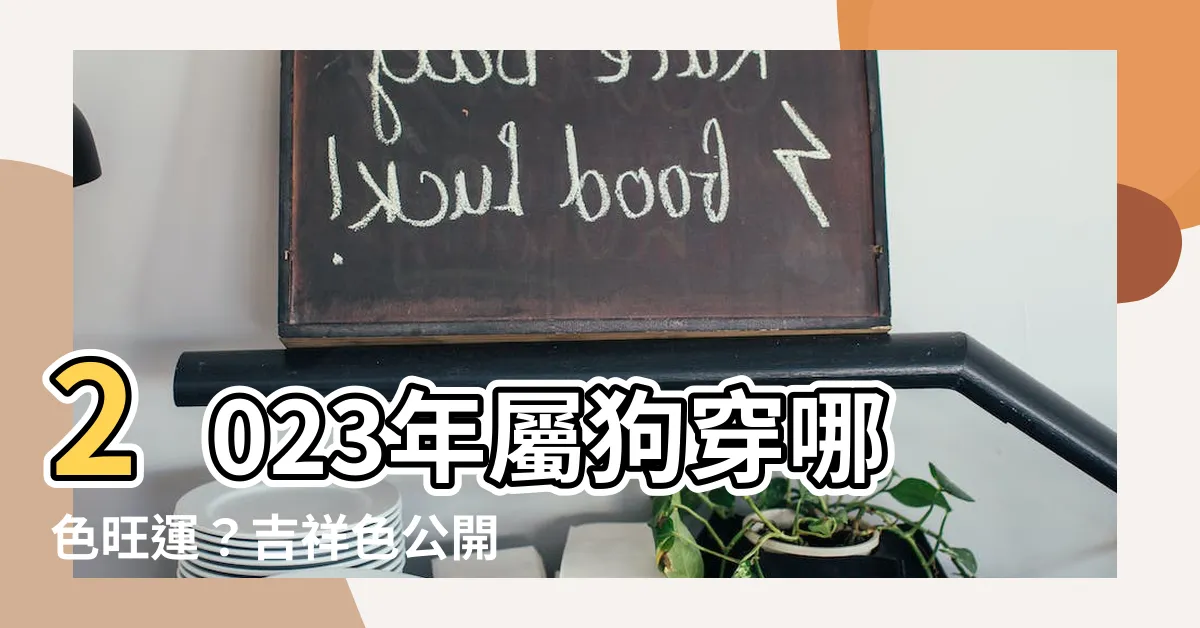 【屬狗 2023 顏色】2023年屬狗穿哪色旺運？吉祥色公開，招財旺運少不了！
