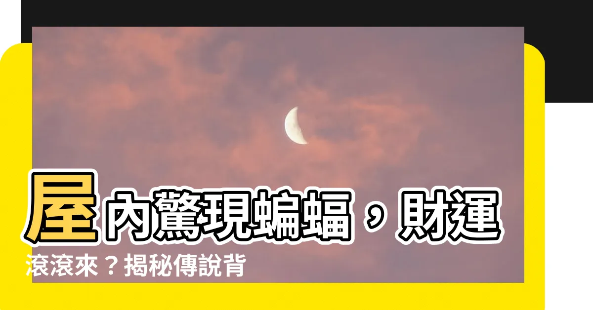 【蝙蝠飛入屋】屋內驚現蝙蝠，財運滾滾來？揭秘傳説背後風水密碼