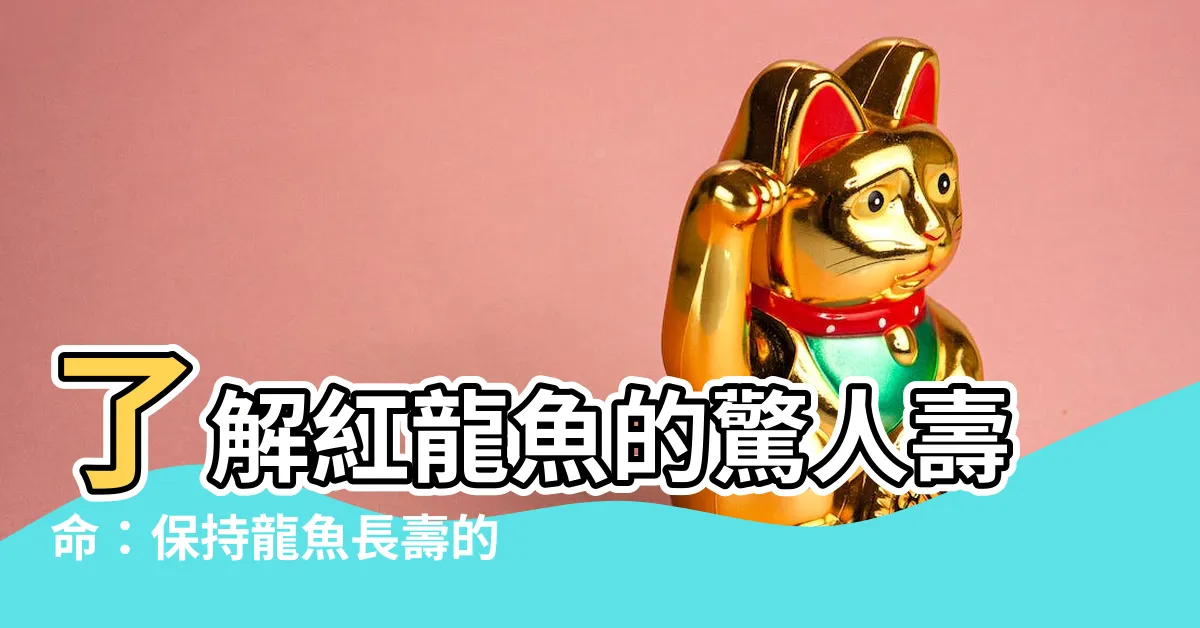 【紅龍魚壽命】瞭解紅龍魚的驚人壽命：保持龍魚長壽的秘訣與環境影響