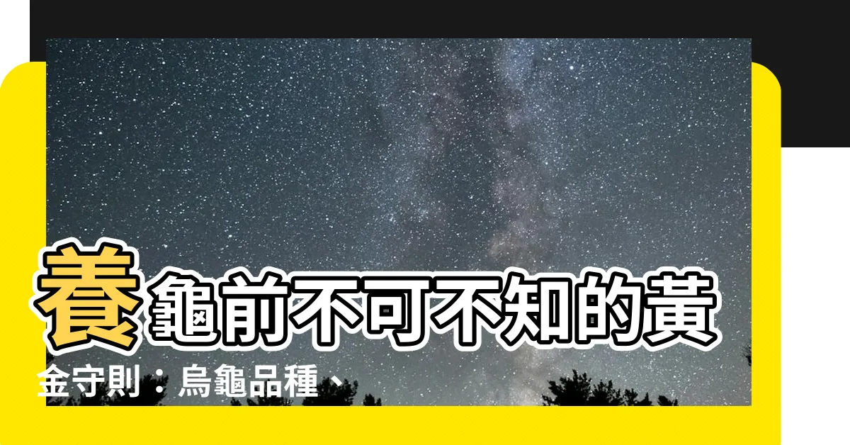 【烏龜】養龜前不可不知的黃金守則：烏龜品種、飼養技巧一次搞定！