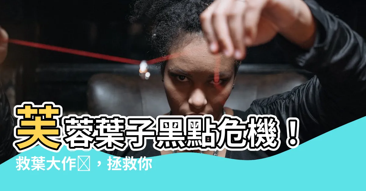 【芙蓉葉子黑點】芙蓉葉子黑點危機！救葉大作戦，拯救你的芙蓉樹！