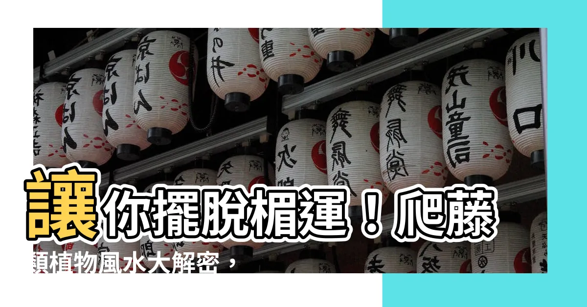 【爬藤類植物風水】讓你擺脱楣運！爬藤類植物風水大解密，小心種錯招來禍端