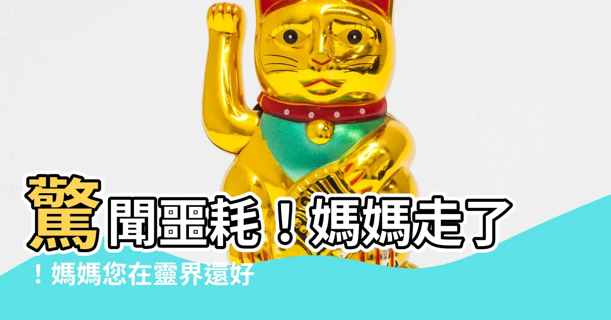 【媽媽】驚聞噩耗！媽媽走了！媽媽您在靈界還好嗎？