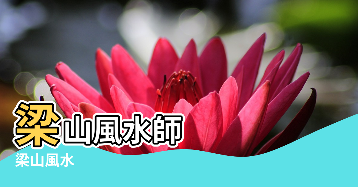 【梁山風水師】梁山風水師 |梁山風水 |梁山風水師論人命 |