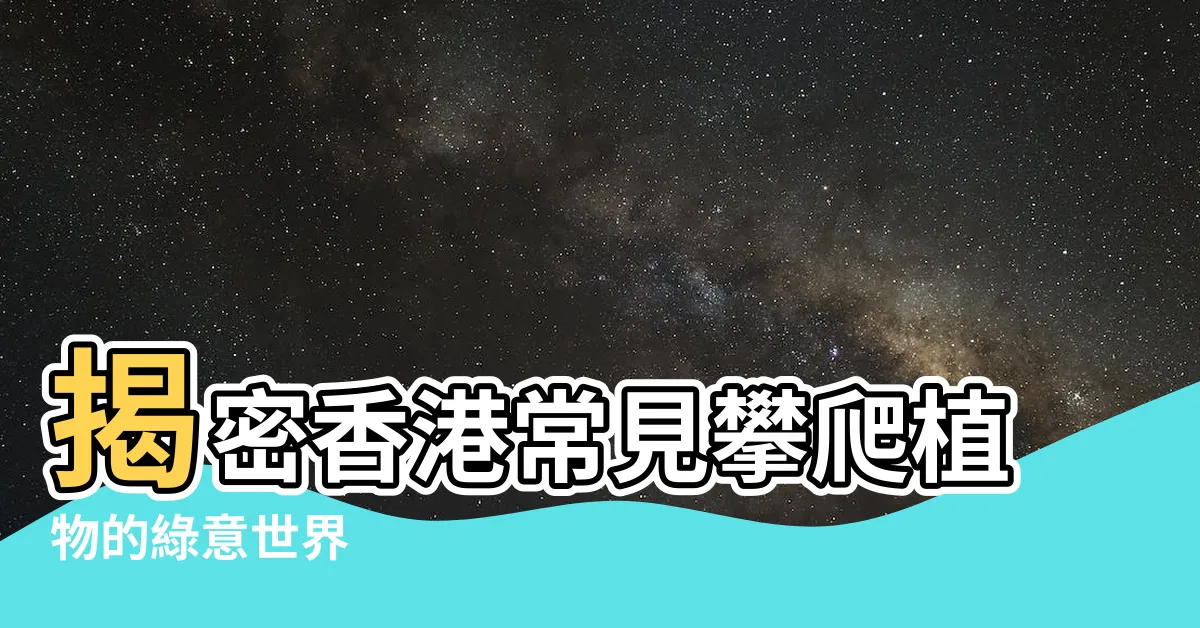 【攀爬植物】揭密香港常見攀爬植物的綠意世界