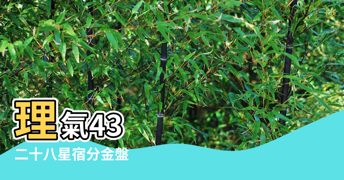 【星宿風水理氣】理氣43 |二十八星宿分金盤 |清代天象星宿風水理氣命運天地人三才發秘9卷 |