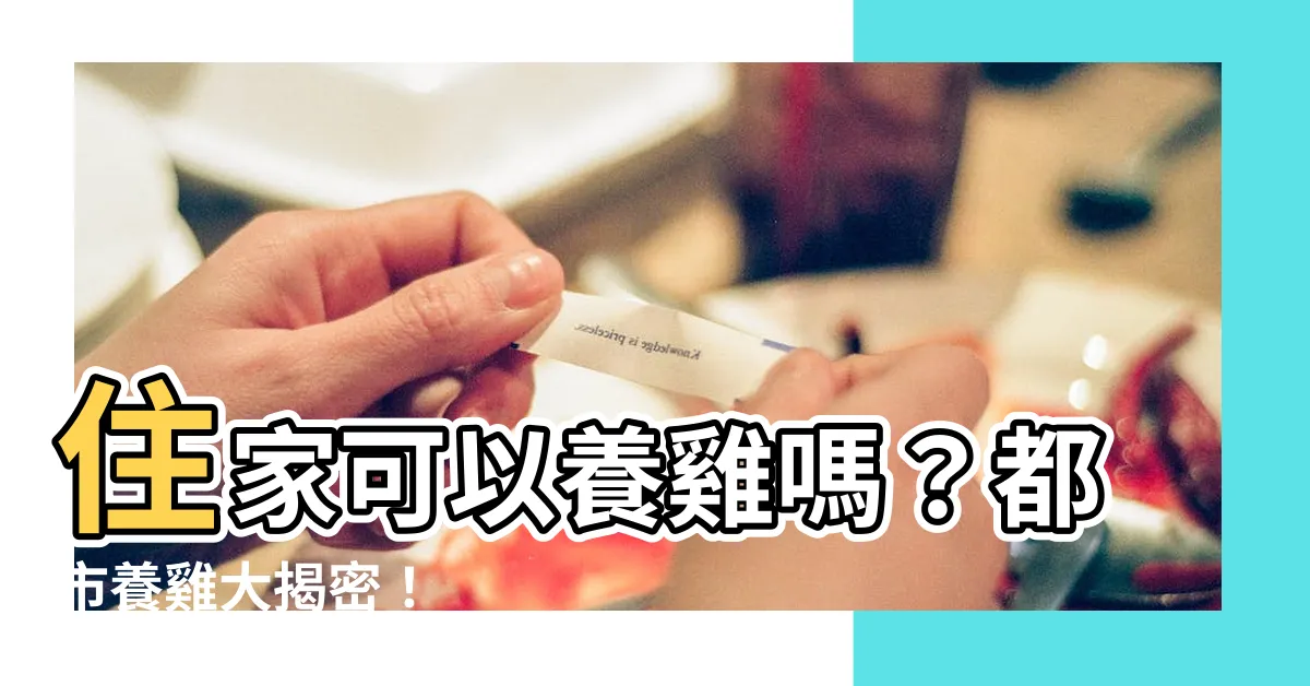 【住家可以養雞嗎】住家可以養雞嗎？都市養雞大揭密！