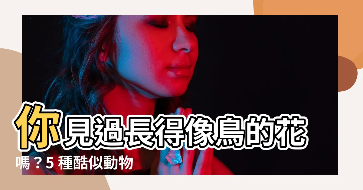【長得像鳥的花】你見過長得像鳥的花嗎？5 種酷似動物的植物，令人驚艷！