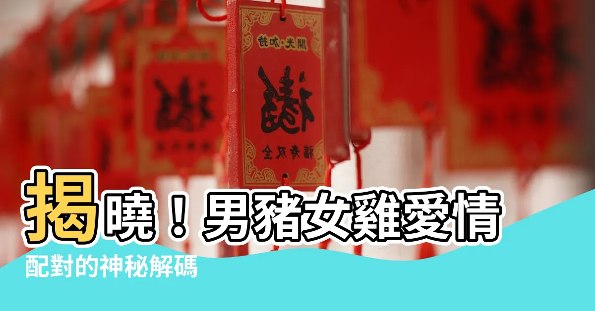【男豬女雞】揭曉！男豬女雞愛情配對的神秘解碼