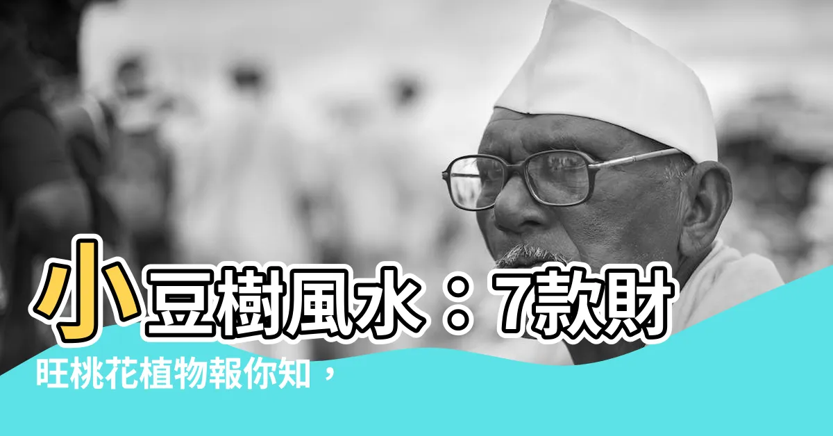 【小豆樹風水】小豆樹風水：7款財旺桃花植物報你知，風水禁忌一次公開！