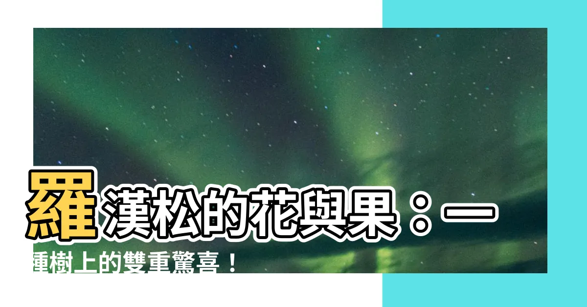 【羅漢松 花】羅漢松的花與果：一種樹上的雙重驚喜！