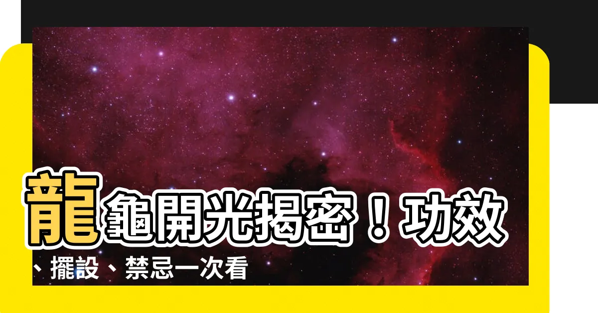 【龍龜要開光嗎】龍龜開光揭密！功效、擺設、禁忌一次看！