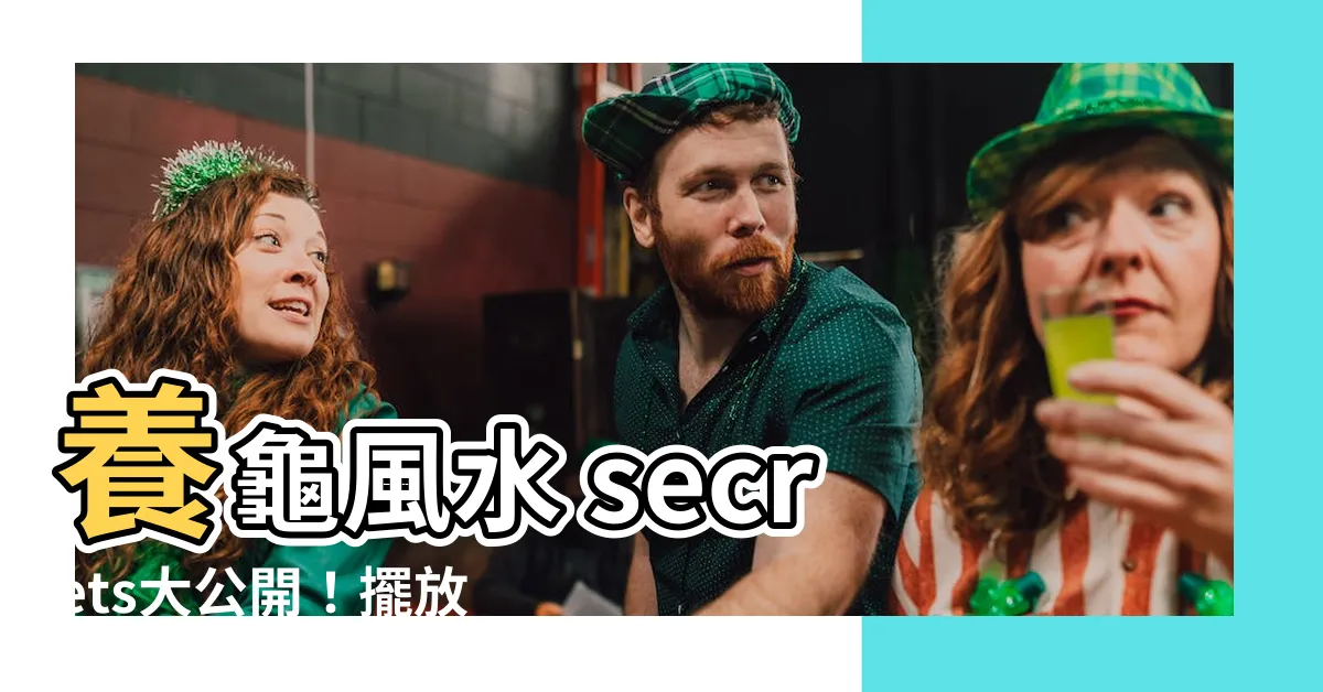 【烏龜放哪裡】養龜風水 secrets大公開！擺放位置、招財方位，一文搞懂