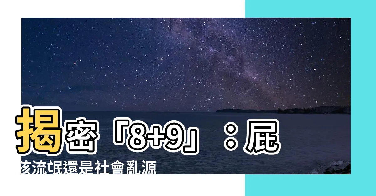 【什麼是8 9】揭密「8+9」：屁孩流氓還是社會亂源？
