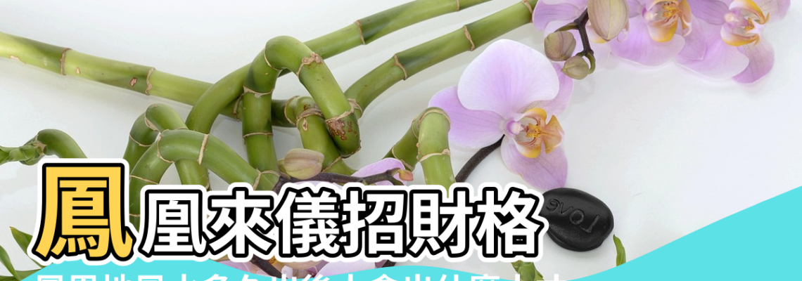 【什麼叫風水鳳凰之地】鳳凰來儀招財格 |鳳凰地風水多久出後人會出什麼人才 |風水出任務EP |