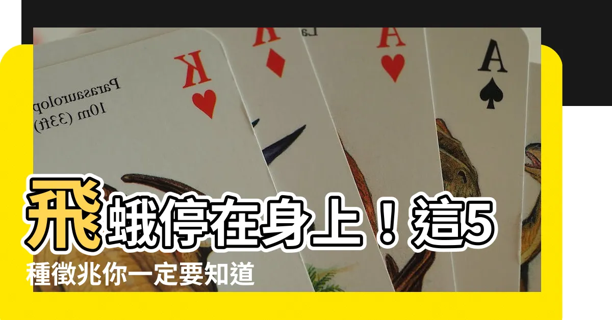 【飛蛾停在身上】飛蛾停在身上！這5種徵兆你一定要知道