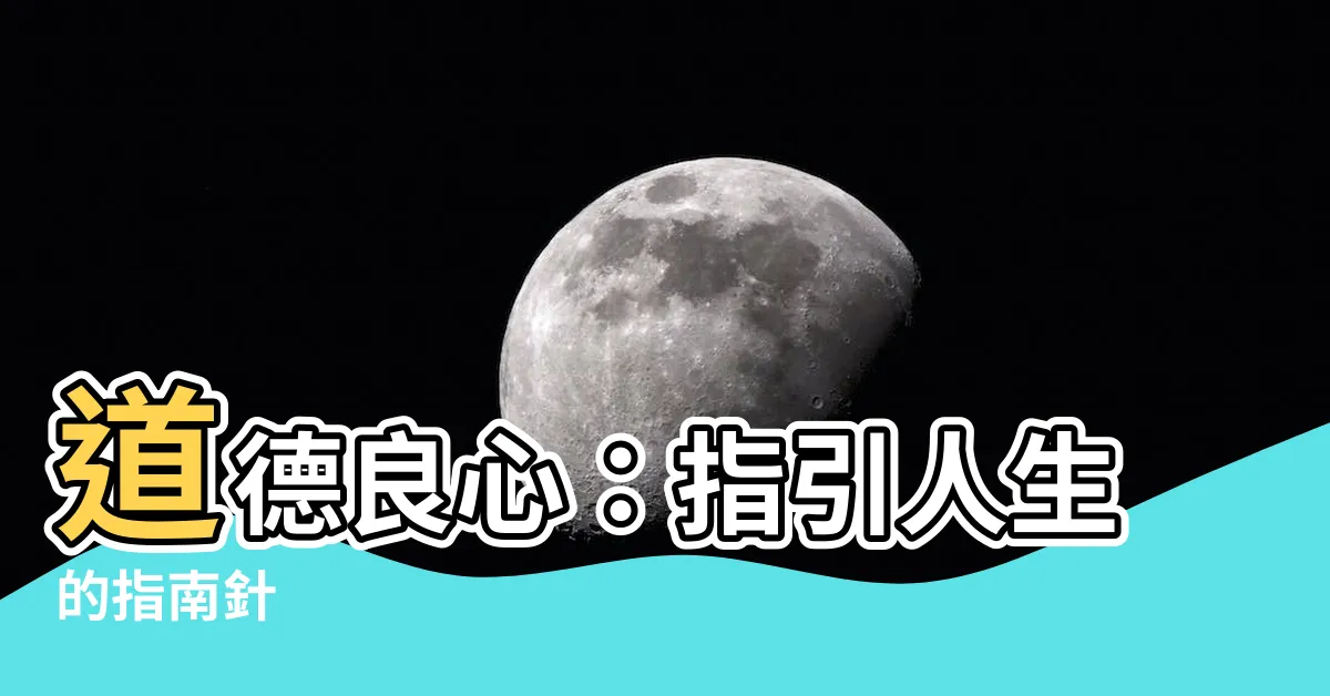 【道德良心】道德良心：指引人生的指南針