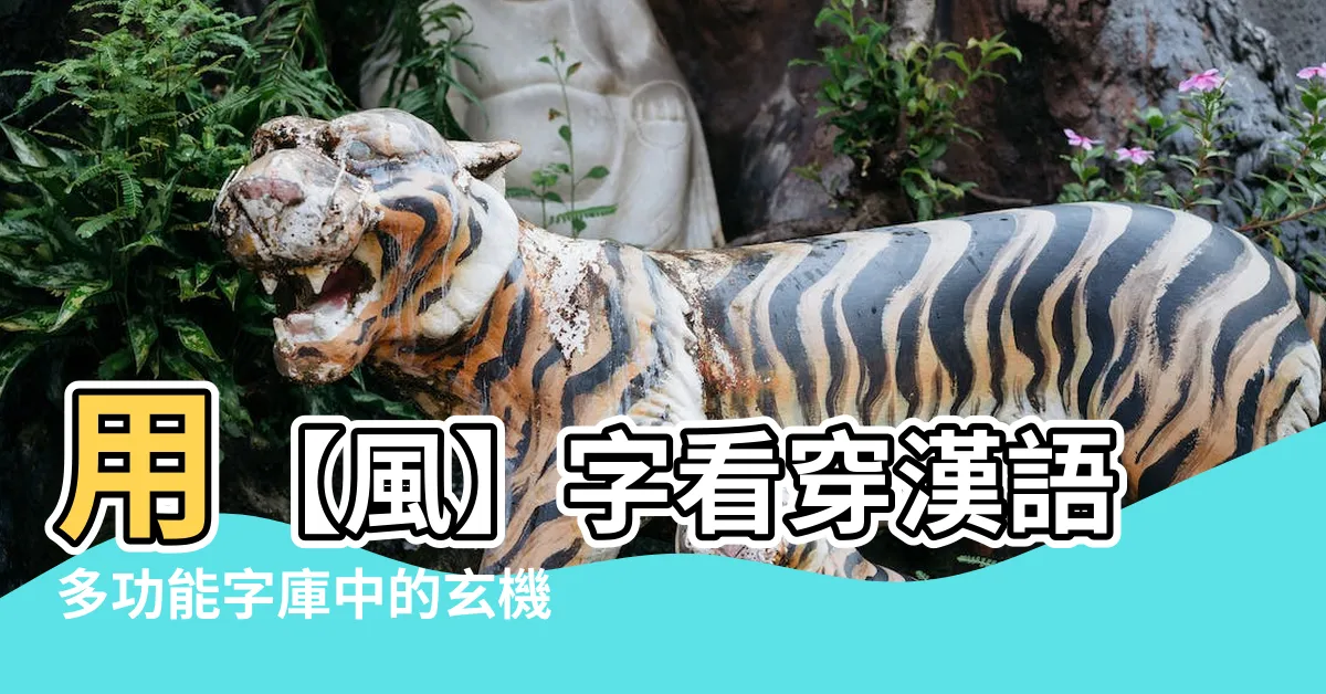 【風 字】用【風】字看穿漢語多功能字庫中的玄機【風字篇】