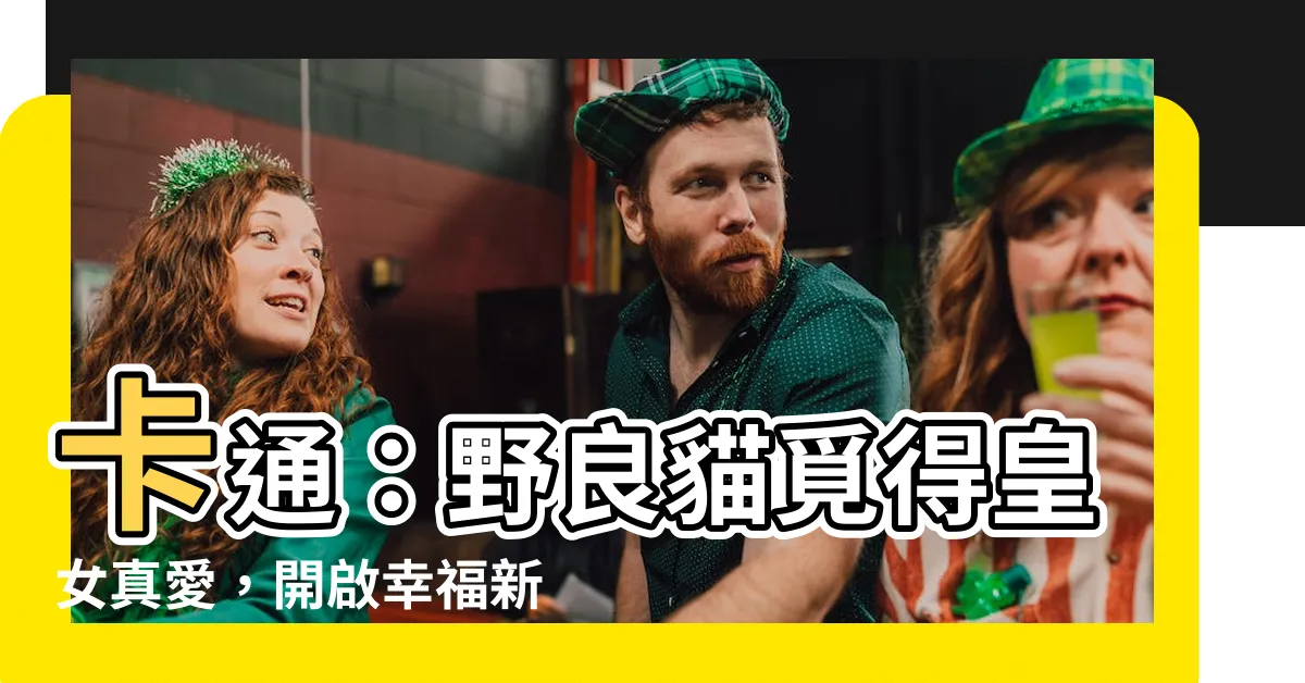 【卡通:oyh9ccic15a= 流浪貓】卡通：野良貓覓得皇女真愛，開啟幸福新篇章