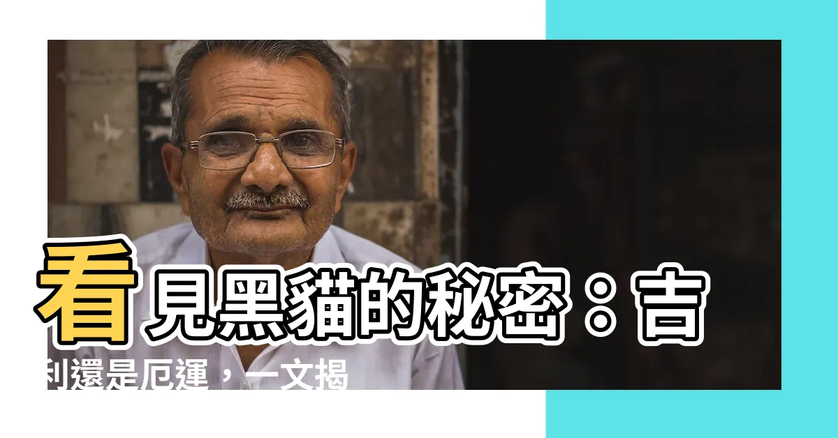【看見黑貓】看見黑貓的秘密：吉利還是厄運，一文揭曉！