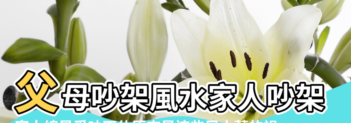 【父母吵架 風水】父母吵架風水家人吵架風水家庭不和怎麼辦 |家人總是爭吵不休原來是這些風水惹的禍 |家里天天吵架風水化解怎麼化解 |