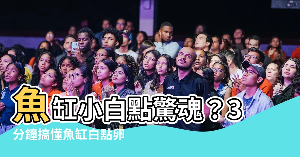 【魚缸白點卵】魚缸小白點驚魂？3分鐘搞懂魚缸白點卵處理方法